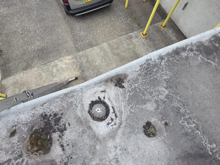 There was some moss around the drain, though not enough to cause such a lot of puddling