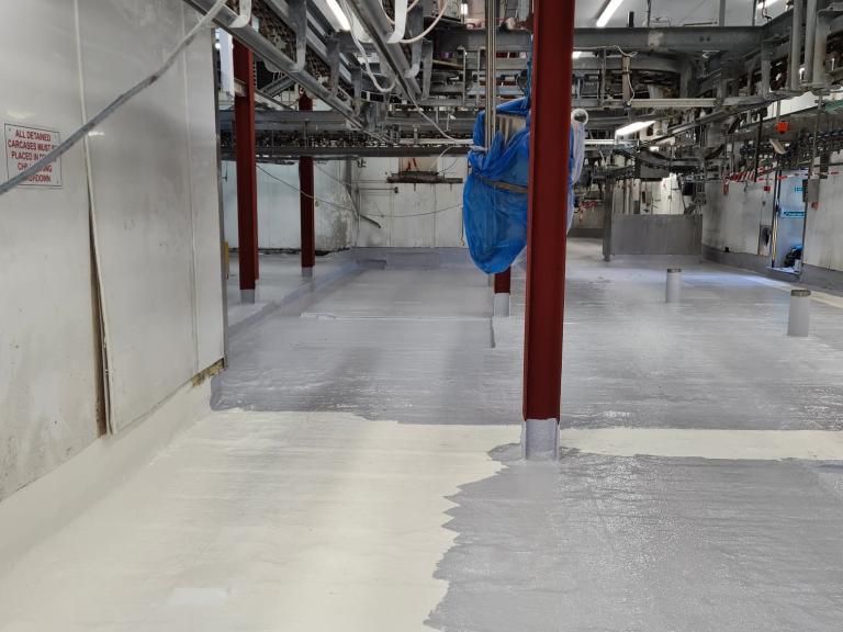 The size and complexity of the space is clear