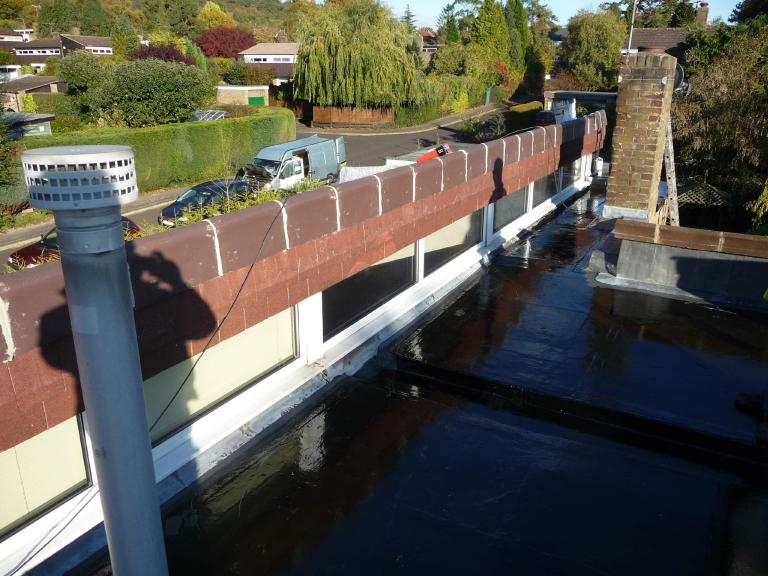 (aided by the beautiful sunshine!)