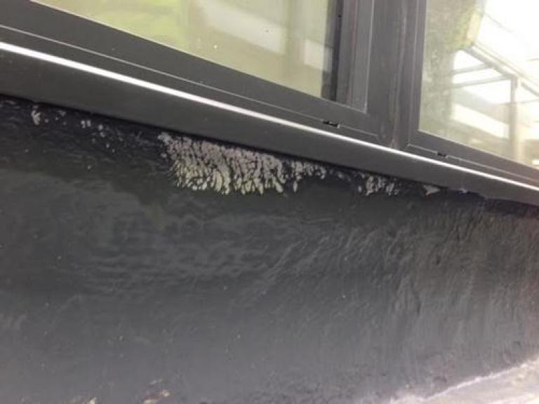 The system protects even up wall edges and to sills