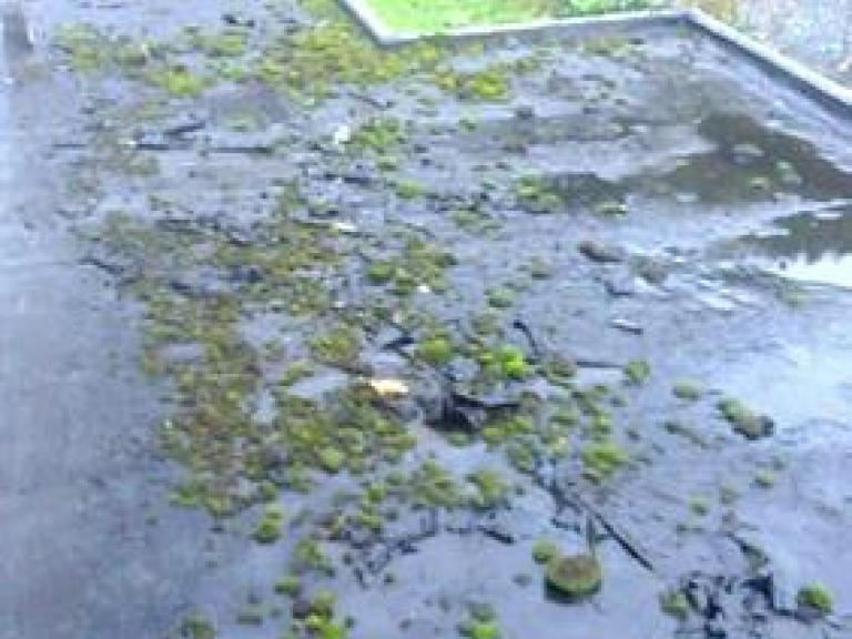 Before - The roof surface was in poor condition