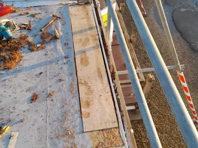 This gave us a clean base for the first coat