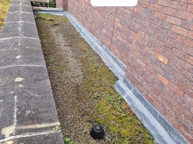 There were small additional areas that had become covered in mosses and plants