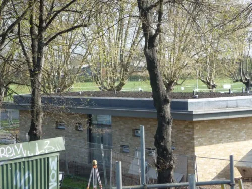 The new living green roof - turfed and seeded
