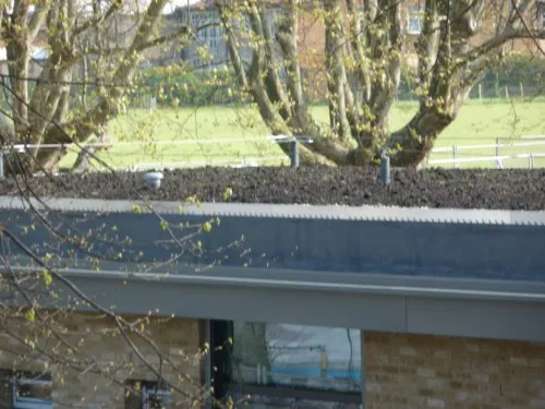 .... and will offer superb performance and strength for years to come