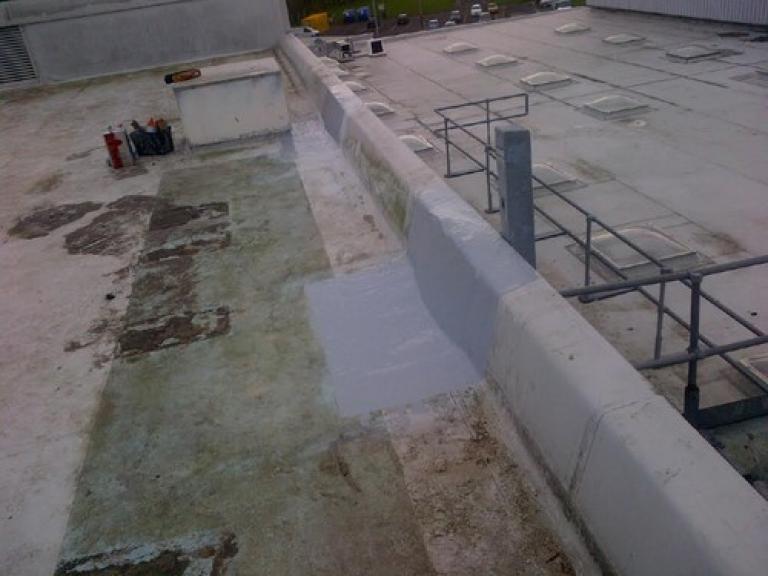 BEFORE - The leisure centre roof was in need of urgent repair