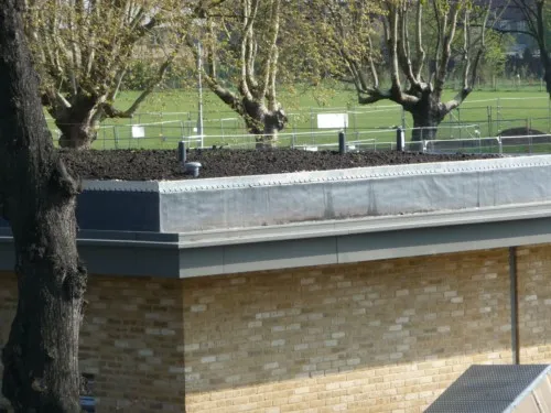 Seeded Turf Roof in Walthamstow, London - ready to grow!